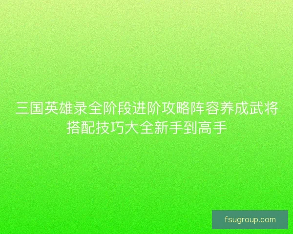 三国英雄录全阶段进阶攻略阵容养成武将搭配技巧大全新手到高手