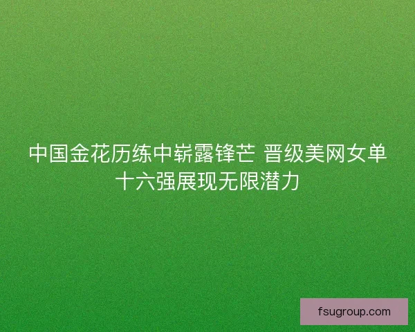 中国金花历练中崭露锋芒 晋级美网女单十六强展现无限潜力